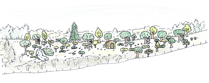 forêt-jardin